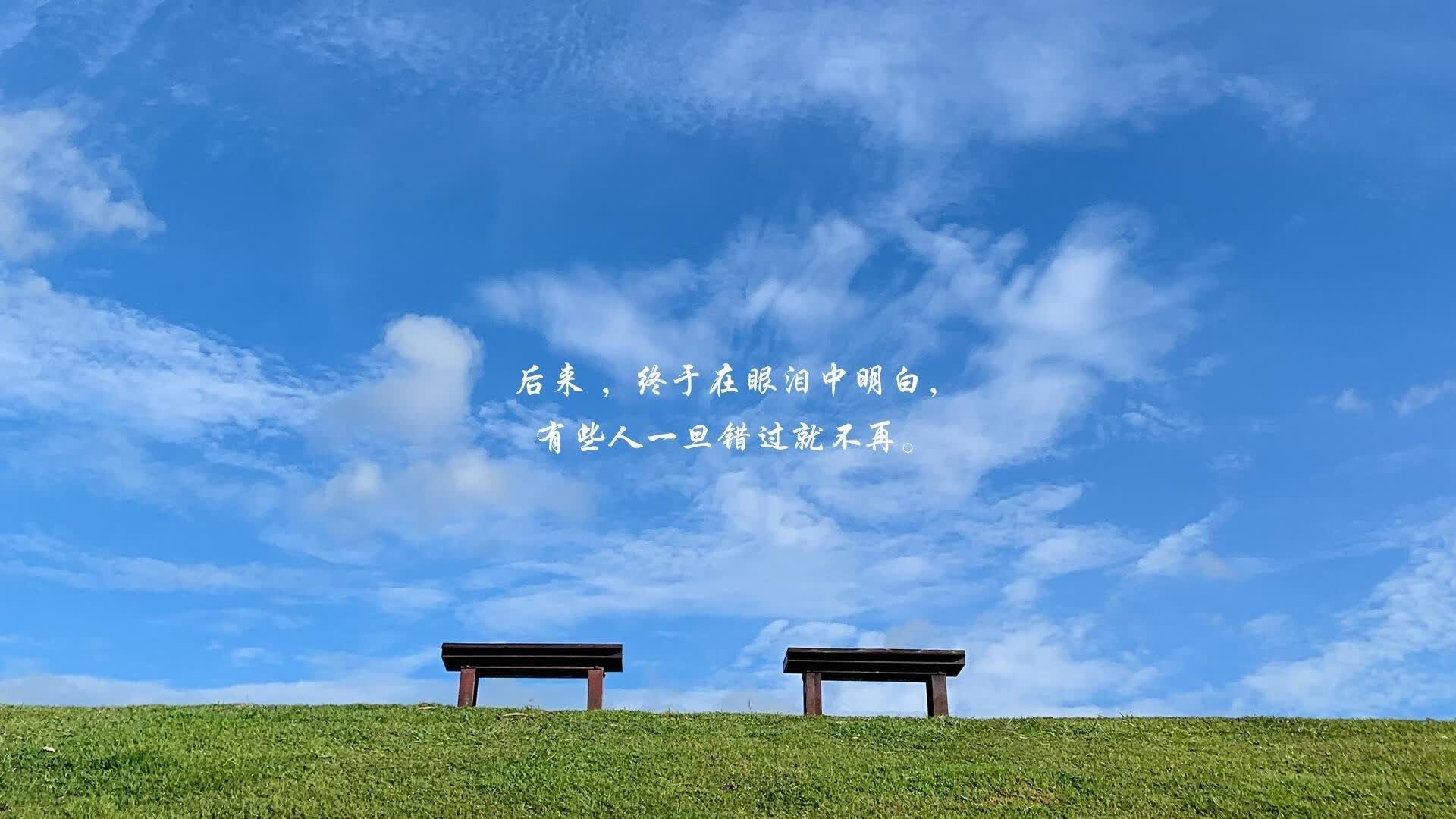 2026 世界杯大洋洲区附加赛：新西兰国家队的唯一世界杯希望，世界杯大洋洲区预选赛排名